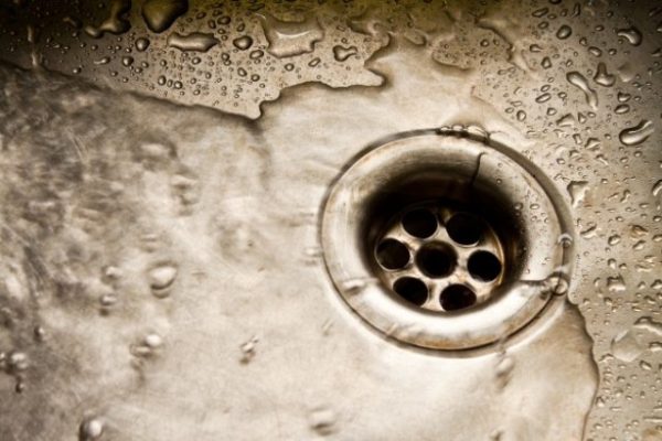 Royal Drain
